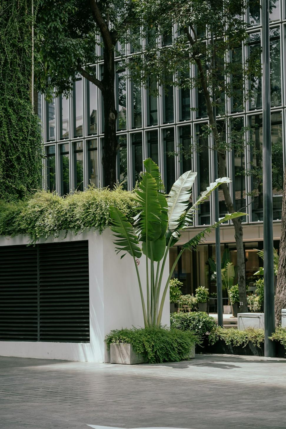 Commercial Project